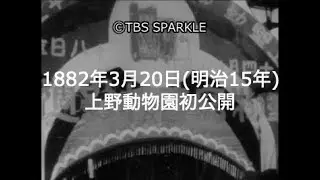 【TBSスパークル】1882年3月20日 上野動物園初公開（明治15年）
