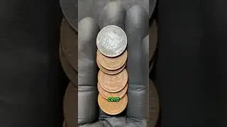 Top 7 First US Dollar Coins Every Collector Must Know
