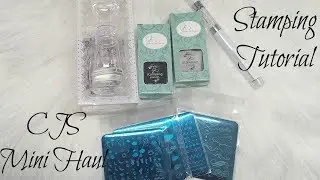 Clear Jelly Stamper Mini Haul and Stamping Tutorial