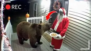 Funny Bear Reactions to Halloween | Caught on CCTV 🐻🎃
