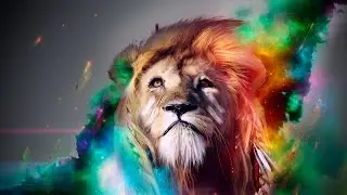 Лучший сборник видеороликов с животными&bull;The best top сompilation videos with animals