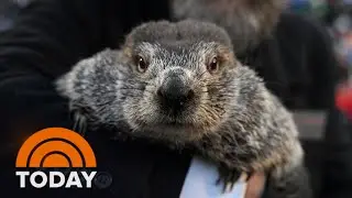 It&rsquo;s Groundhog Day! Did Punxsutawney Phil see his shadow?