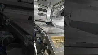 Hazelnut, Peanut, Pistachio, Almond, Cashew Chopping and Screening Line | Industrial Nut Processing