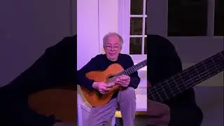 Wolfgang Weigel Guitar Art 