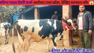 कीमत और क्वालिटी के साथ,Saurabh Yadav Dairy Farm sohawal Ayodhya UP ।