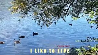 I Like to Live (Music video) - Jessie Emile