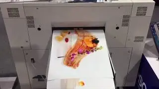 Epson SureLab D3000