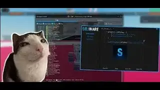 ЧИТ STEAL A BRAINROT для РОБЛОКС без КЛЮЧЕЙ АНДЕТЕКТ ИНЖЕКТОР SELIWARE get save com