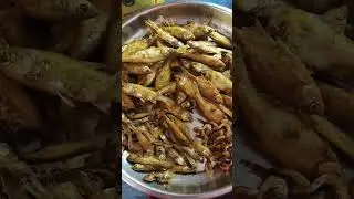 Chhote Machhli Curry Manipuri Style ## 🐟🐟🐟## Nga Macha Thongba ##.