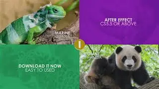 After Effects Template - Flat Logo Animation