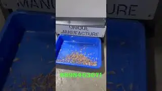 Heavy Production Jumbo Supari Cutting Machine | Machines | Rajkot Machinery #youtubeshorts #ytshorts