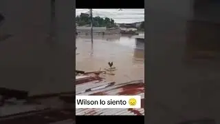 Wilson lo siento😭 #wilson #viral