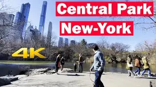 Central Park in New-York. Gapstow Bridge