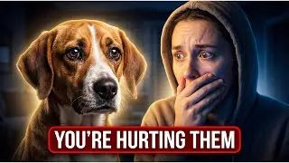 Everyday Things You&rsquo;re Doing That Hurt Your Dog&rsquo;s Feelings (Without Realizing It)