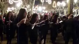 Cercavila dissabte de Sant Antoni 2014