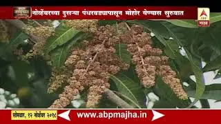 अशी घ्या आंबा मोहोराची काळजी | 712 | एबीपी माझा
