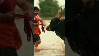 Pongal Status ✨ #pongalcelebration #pongalstatusvideo #pongalstatus #tamilshorts #tamil