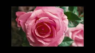 Untitled video   Made with Clipchamp   2026 01 10T182122 822