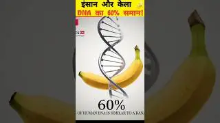DNA ka 60%? #trending #facts #factwide #viral #viralvideo #trendingshorts #shorts @Vverse360