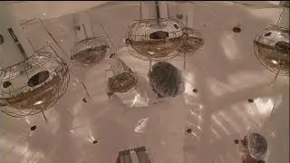 العلماء يسعون لكشف لغز المادة السوداء في الكون - science