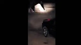Strange small Humanoid Creature caught on camera by campers Nevada