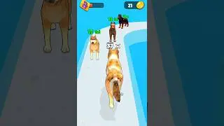 Dog Evolution Run 3D All Levels Walkthrough Gameplay Part 2 #shorts #game