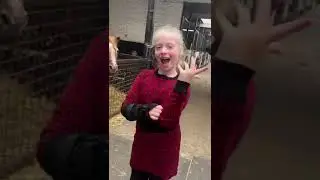 Bella heeft mijn hand eraf gebeten ! #gevaarlijkepaarden #paarden #manege