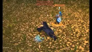 Turtle WoW PVP - Nelf Druid vs Troll Shamen