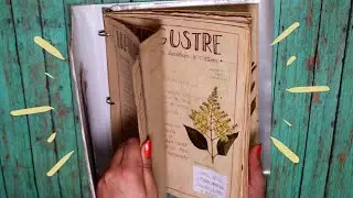 MI HERBARIUM | DIY
