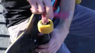 Bearings - Black Diamond Sports