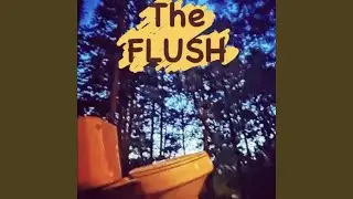 THE FLUSH