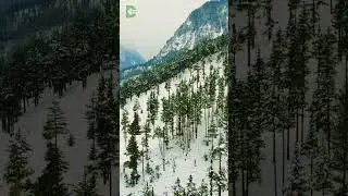 Swat Valley Winter Season | #shorts #snowfall #swatvalley #youtubeshorts