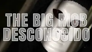 THE BIG MOB - GOD OF WAR- #spanishdrill