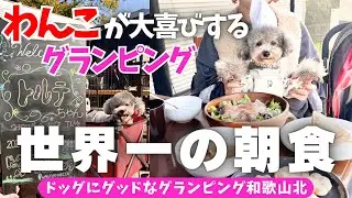 【犬と旅行】愛犬のためのグランピングで【世界一の朝食】と【非日常】を楽しむ一泊二日旅🐶【ドッグにグッドなグランピング和歌山北】
