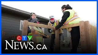 Trades survey: Half of women report workplace harassment
