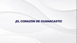 Noticias 36 Edici&oacute;n Estelar