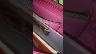 packing bag for the exams  if your exam is started tell me in the comment.