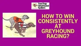 How To Win Consistently at Greyhound Racing | Learn The Fast And Easy Way To Profit Consistently
