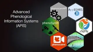 We can improve phenological data integration
