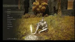 Elden Ring,  New Game Plus :3