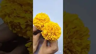 Beautiful Marigold Flower from Tissue Paper | DIY Napkin Flower Making | #craft #shorts #diy