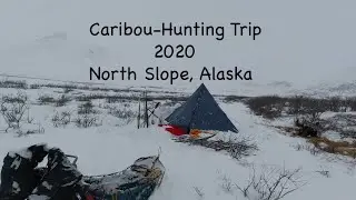 Dog-Sled Caribou-Hunting Trip! (episode 34)