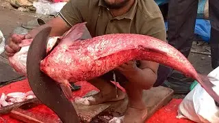 I never seen ll amazing big Biket fish cutting live skills by expert fish cutter in Fishmarket 