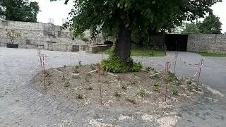 Schloss Broich