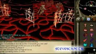 317 Private Server: SteveScape
