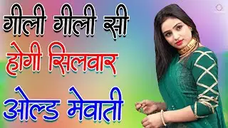 गिली गिली सी होगी सिलवार //full Sexy Song  Old Mewati Gana //Sahin Chanchal // Sexy Song Mewati 2026