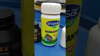 Enraizantes, tipos de enraizantes adecuados para rizomas de bamb&uacute;