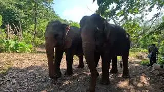 Thailande 2026 - Krabi