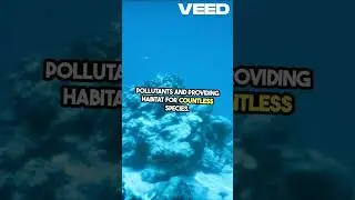 Unbelievable Ecosystem Facts You Didn't Know!