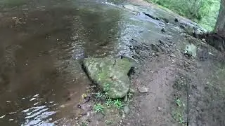 Father's Day 2025- White Clay Creek- Both Branches